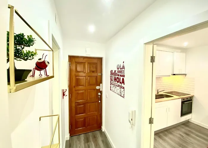 Red Em A 250m Do Santuario Fátima